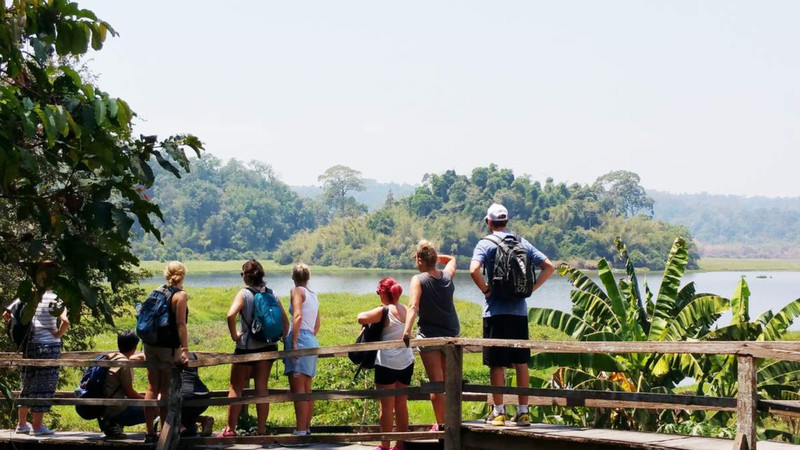 https://files.locallife.asia/images/800/1773711506578-Thiết kế chưa có tên.png
